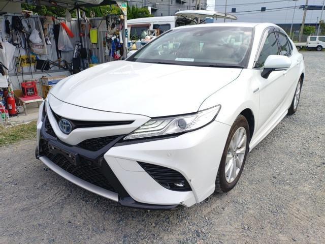 2019 Toyota Camry Sedan WS