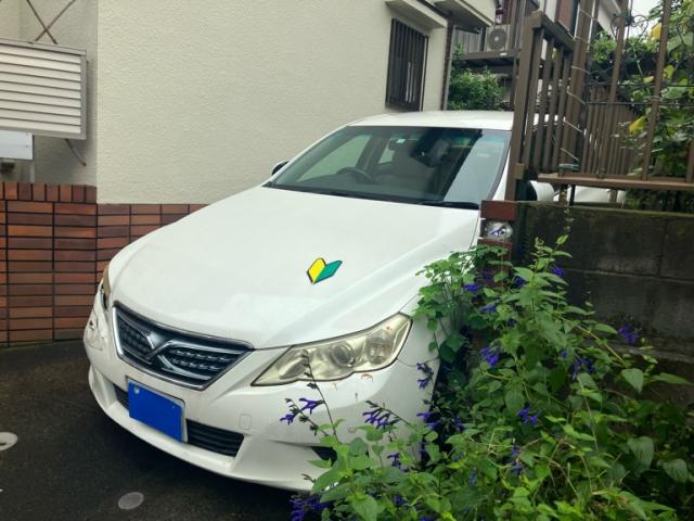 2010 Toyota MarkX 250G Relax Selection