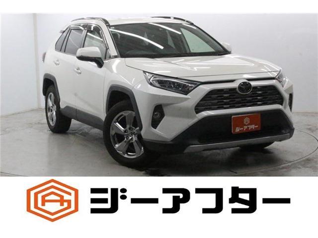 2020 Toyota RAV4 5D 2.0G 4WD