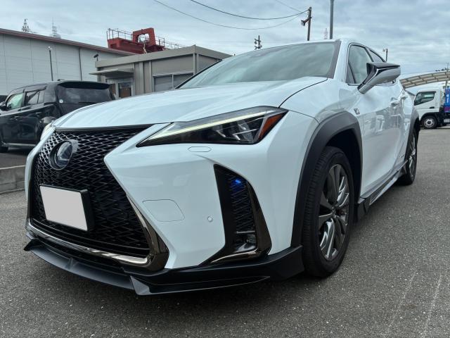2019 Lexus UX Hybrid UX250h F SPORT