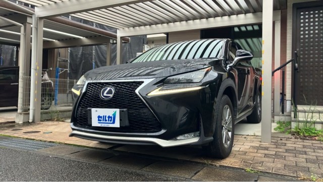 2015 Lexus NX Hybrid NX300h I Package