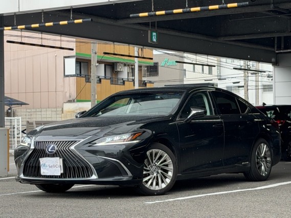 2021 Lexus ES ES300h Version L