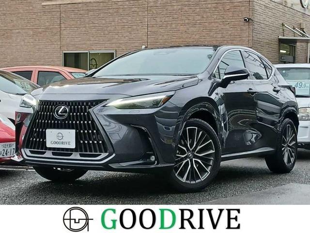 2025 Lexus NX 250 Version L