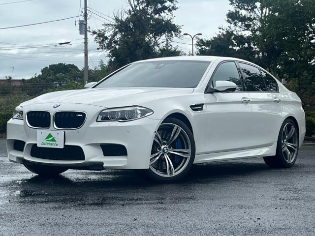 2015 BMW M5 M5