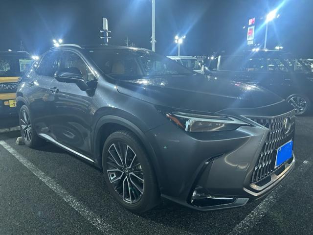 2023 Lexus NX NX250 Version L