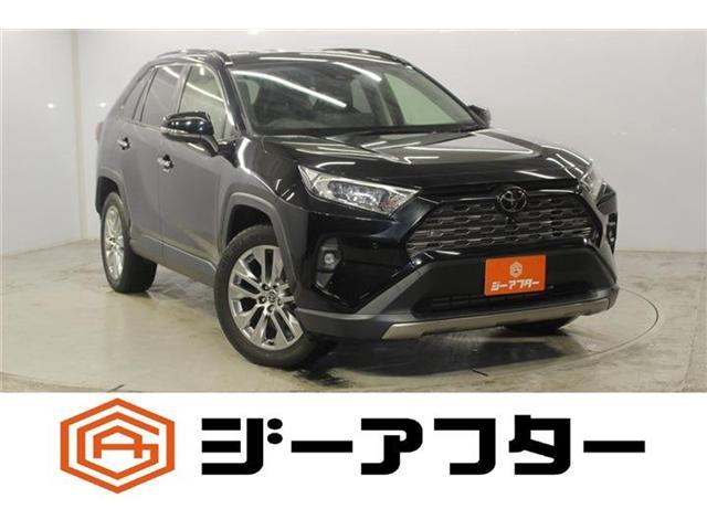 2023 Toyota RAV4 5D 2.0 G Zpackage 4WD