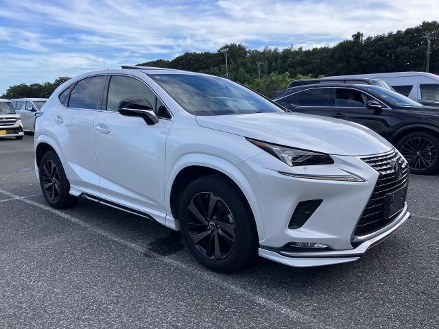 2020 Lexus NX NX300 Spice & Chic Aero Moonroof Panoramic View M RCC OP Aluminum
