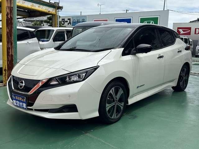 2021 Nissan Leaf X V Selection