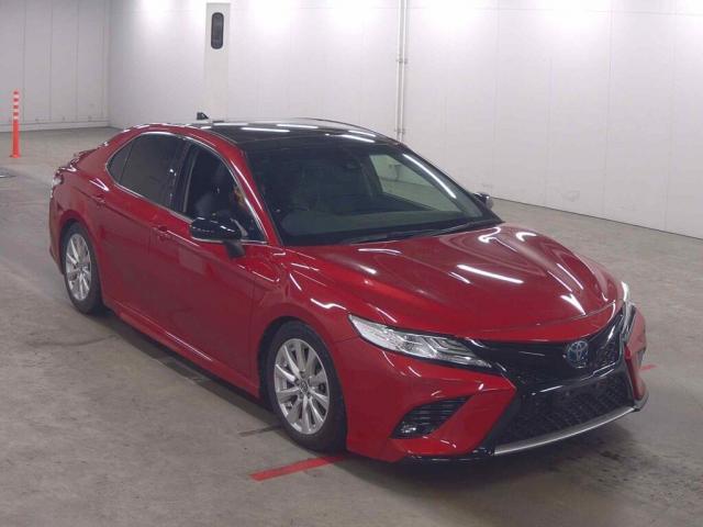 2019 Toyota Camry Sedan WS