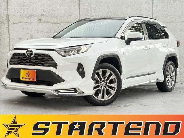 2024 Toyota RAV4 5D 2.0 G Z Package 4WD