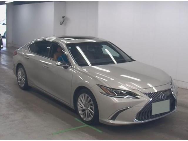 2019 Lexus ES ES300h Version L
