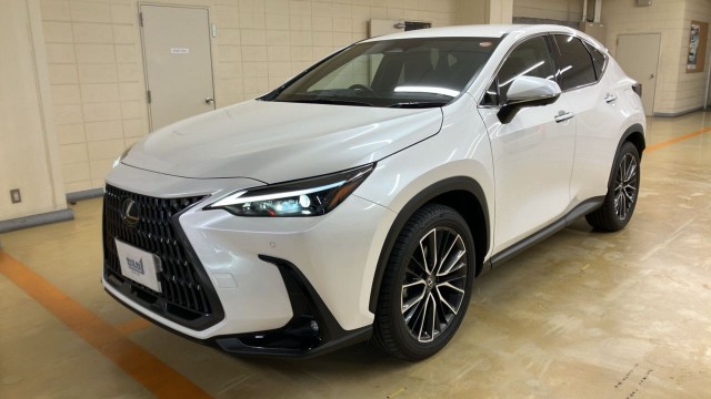 2023 Lexus NX NX250