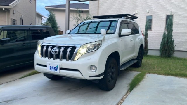 2014 Toyota LandCruiser Prado 5D TX Argent Cross
