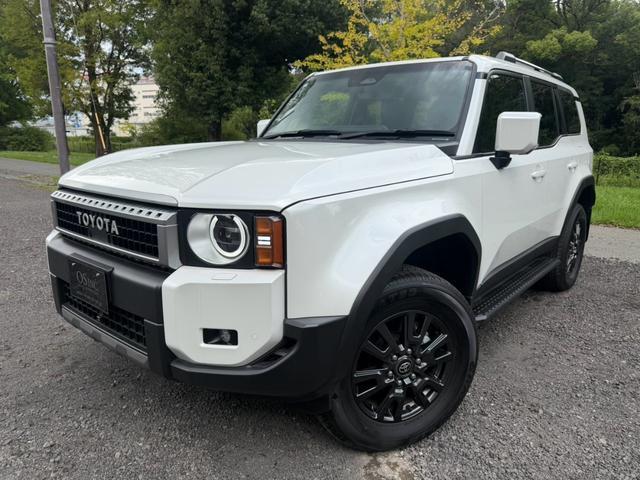 2025 Toyota LandCruiser 250 VX