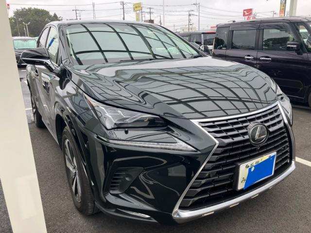 2018 Lexus NX NX300i Package