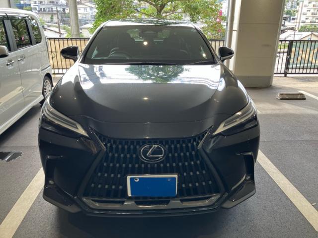 2023 Lexus NX NX250 Version L