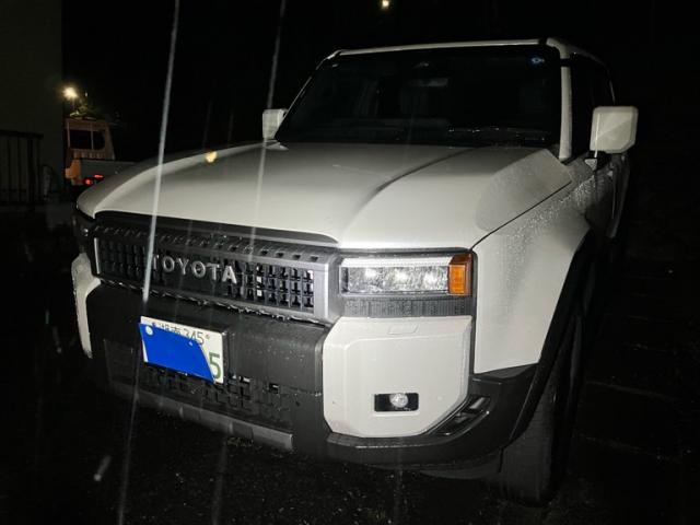 2025 Toyota LandCruiser 250 VX