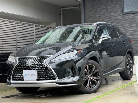 2019 Lexus RX RX300 Version L