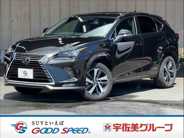 2021 Lexus NX Hybrid NX300h Spice & Chic