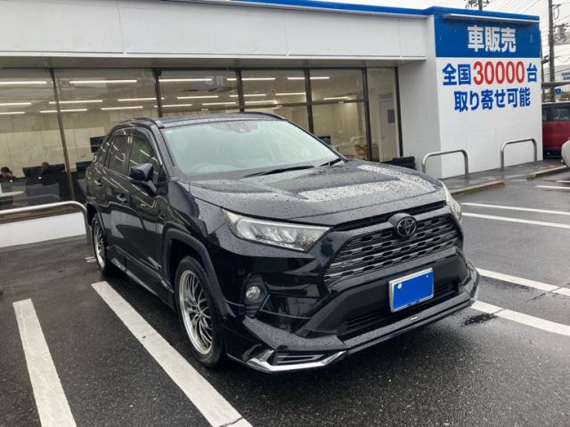 2019 Toyota RAV4 5D G_Z Package