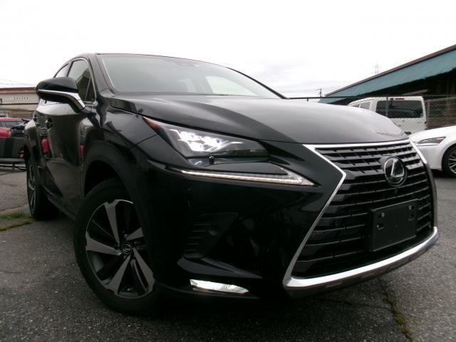 2018 Lexus NX NX300 I Package Lexus Safety System Plus