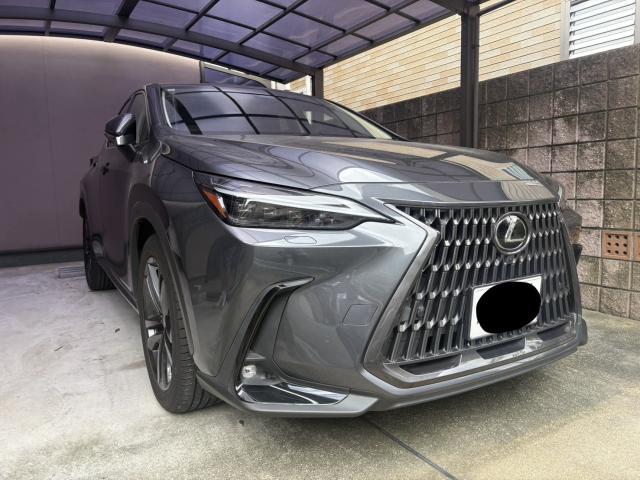 2022 Lexus NX NX250 Version L