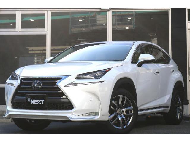 2016 Lexus NX NX200t I Package