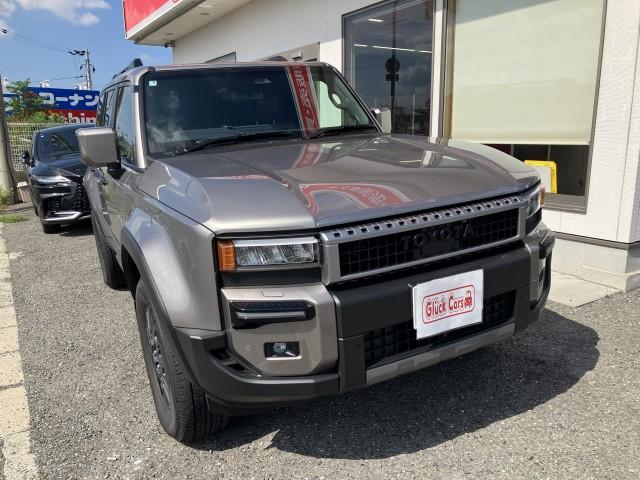 2025 Toyota LandCruiser 250 VX