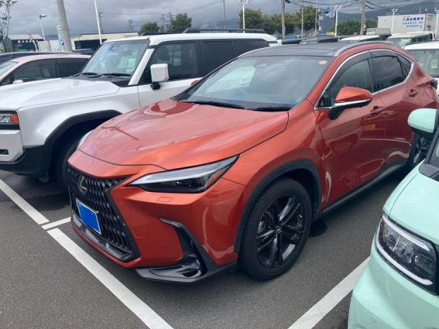 2023 Lexus NX NX250 Version L