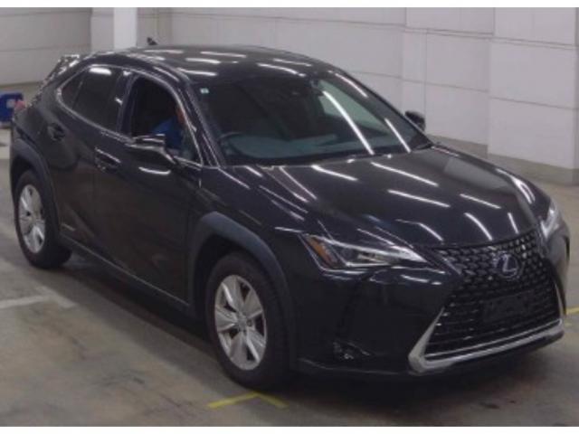 2021 Lexus UX Hybrid UX250h VERSION C