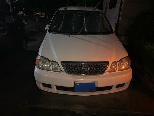 2004 Toyota Gaia Special Limited Navi Special