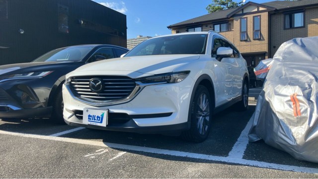 2019 Mazda CX-8 XD Proactive