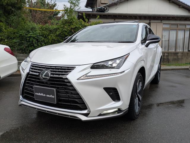 2021 Lexus NX NX300 Spice & Chic