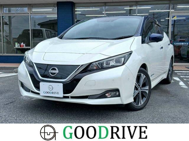 2018 Nissan Leaf G