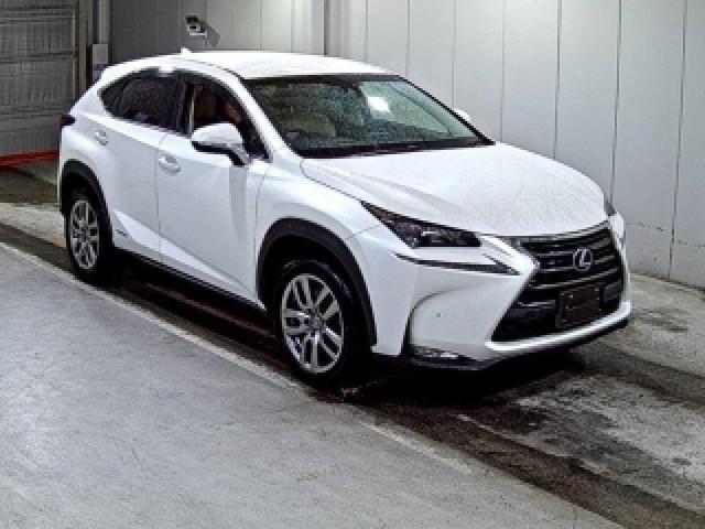 2015 Lexus NX Hybrid NX300h I Package