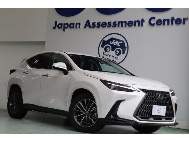 2024 Lexus NX NX250 Version L