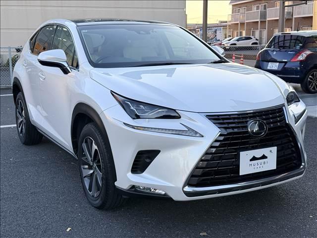 2019 Lexus NX 300 I Package