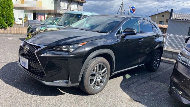 2014 Lexus NX NX200t I Package
