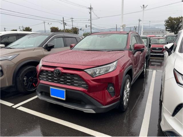 2019 Toyota RAV4 5D G_Z Package
