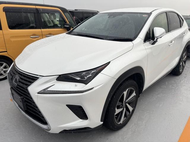 2019 Lexus NX NX300i Package