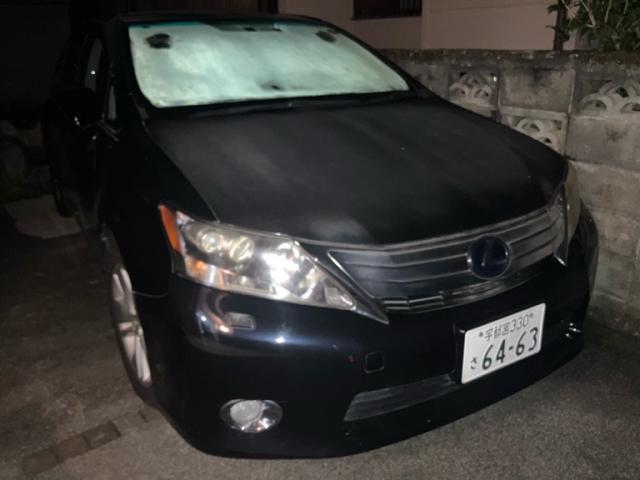 2010 Lexus HS HS250h