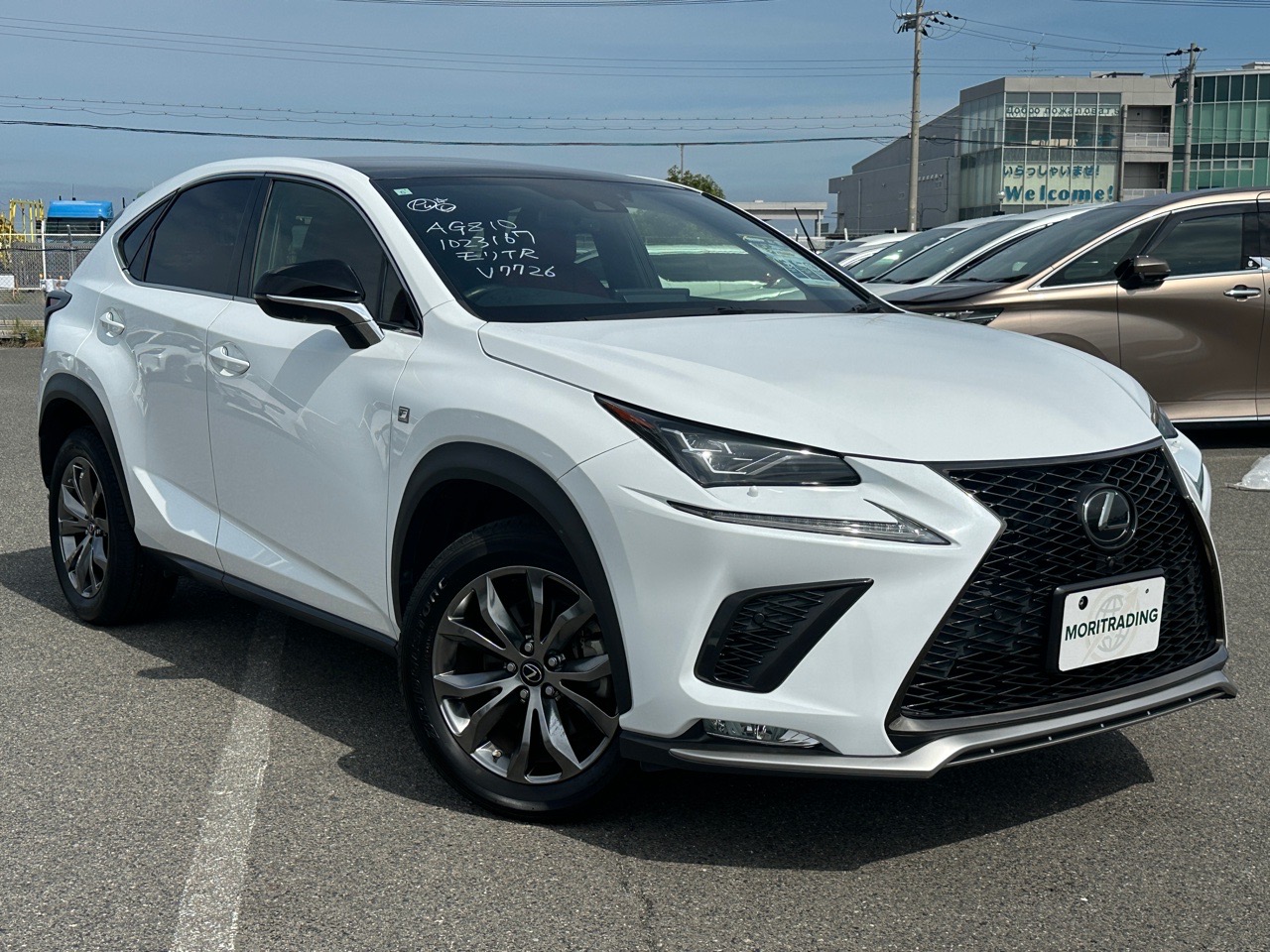 2019 LEXUS NX NX300 F Sport