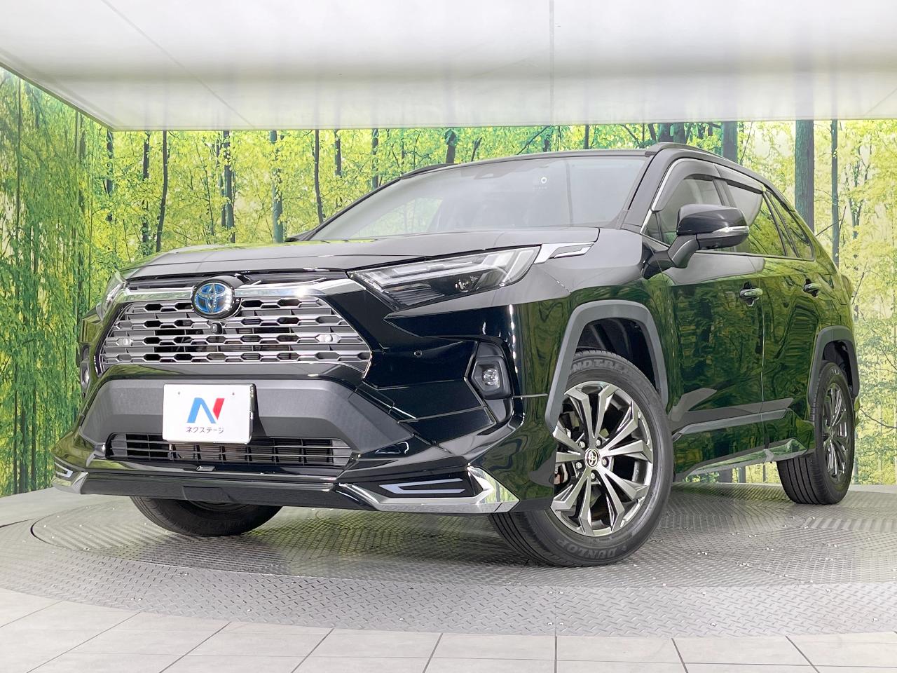 2022 Toyota RAV4 Hybrid Hybrid G