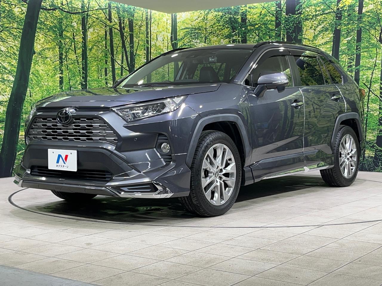2019 Toyota RAV4 5D G Z Package