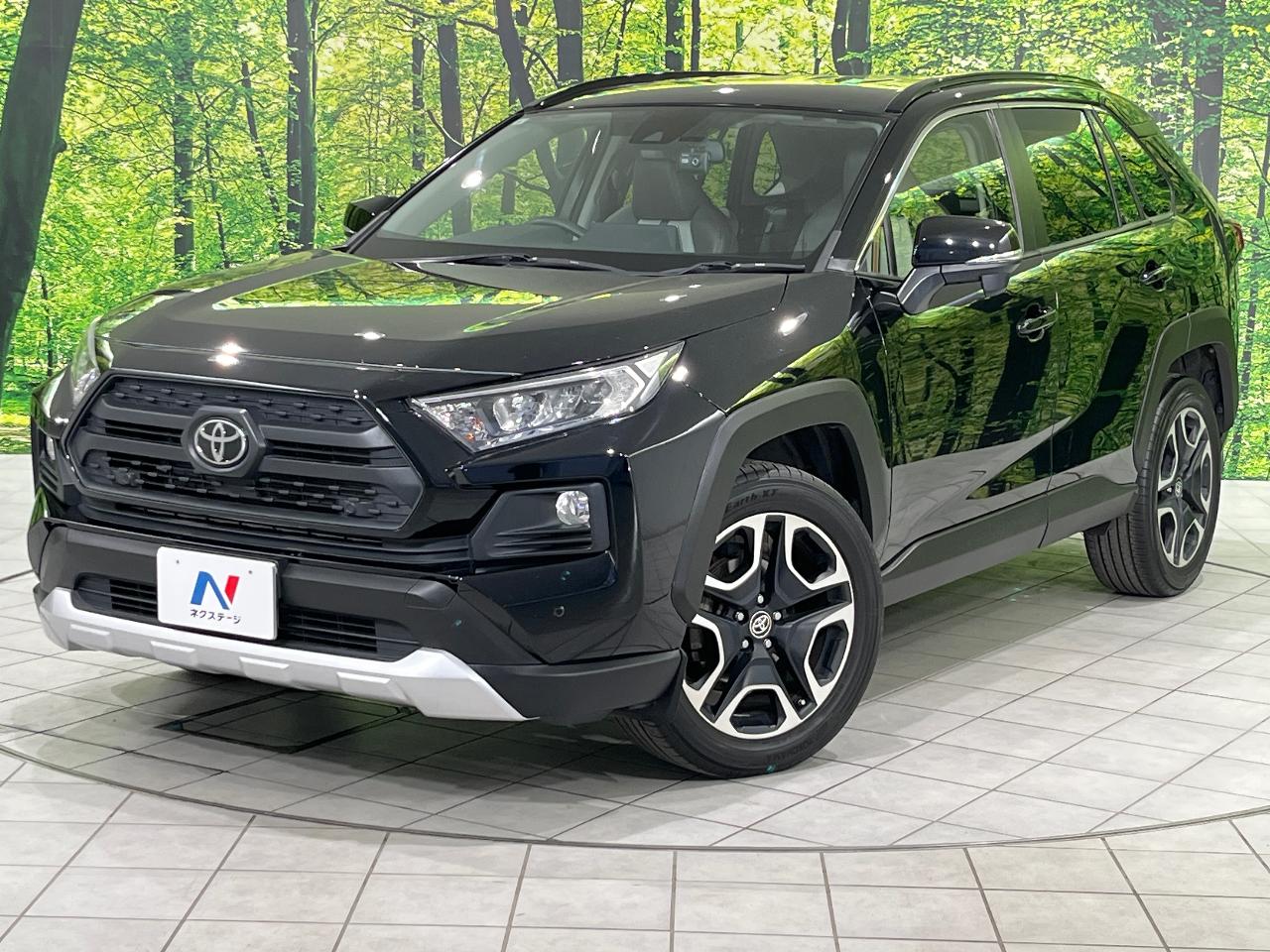 2019 Toyota RAV4 5D Adventure