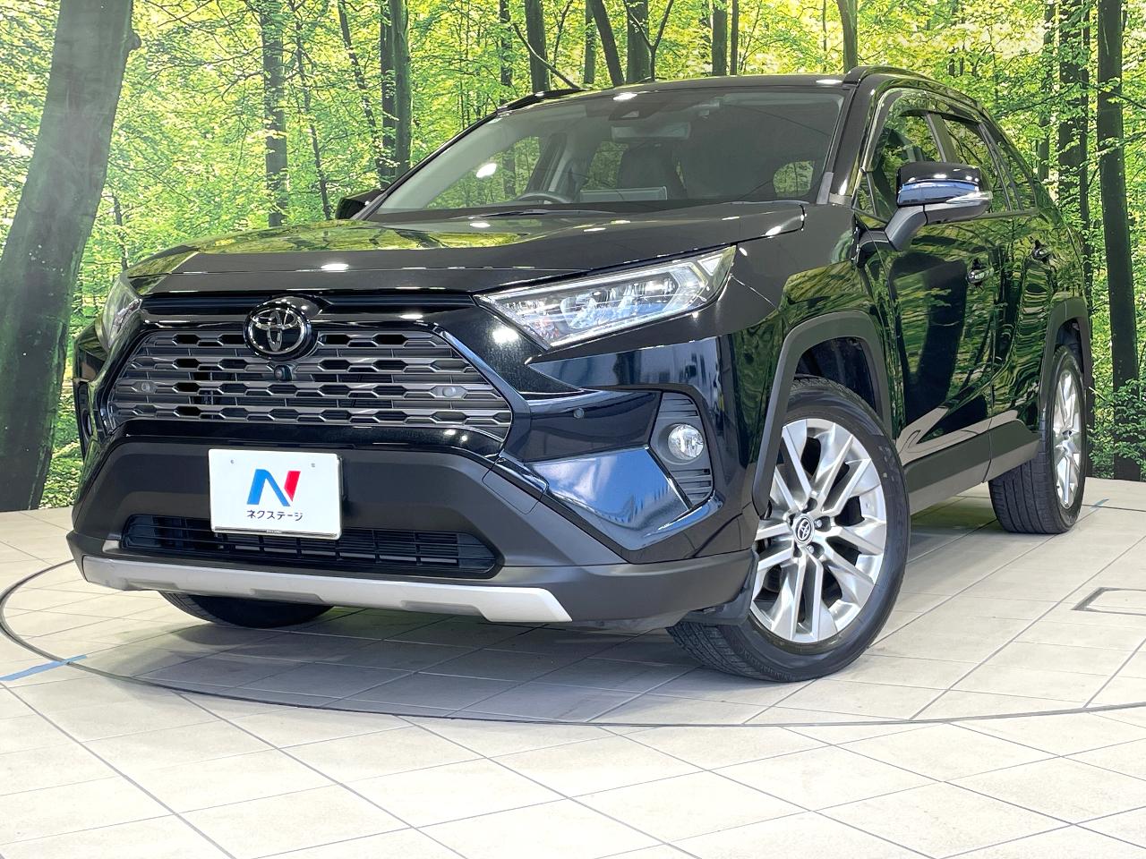 2020 Toyota RAV4 5D G Z Package