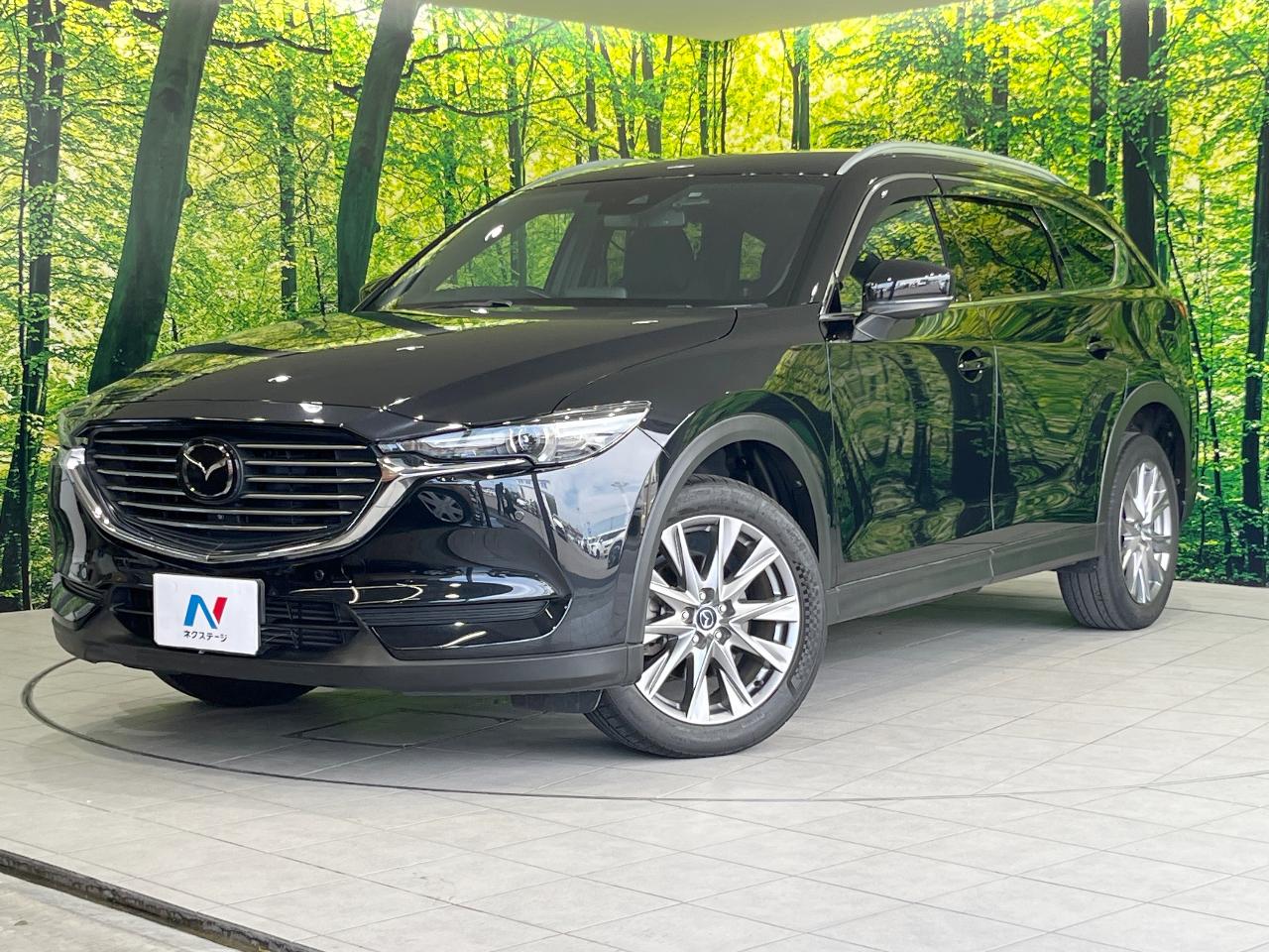 2019 Mazda CX-8 XD Proactive