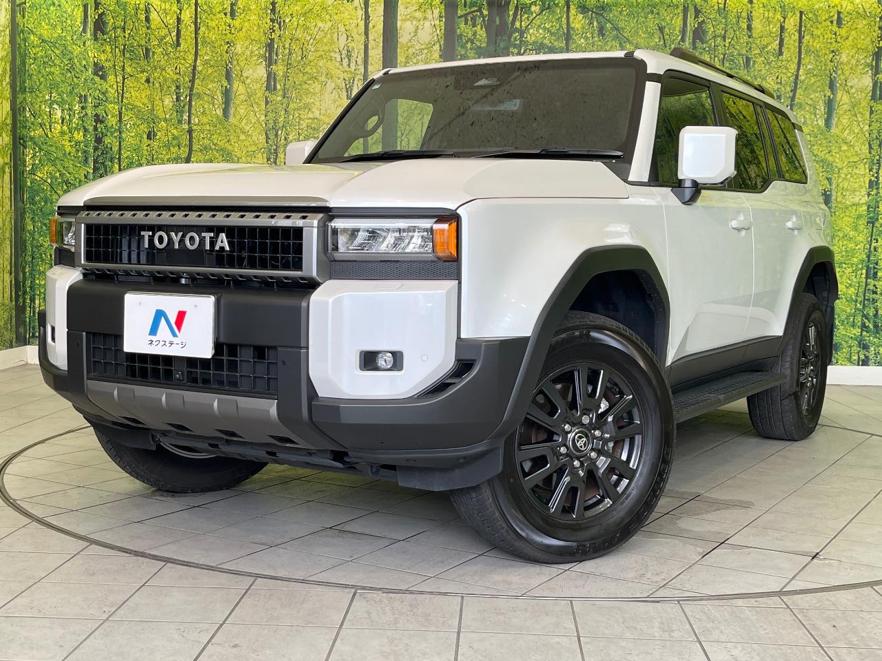 2025 Toyota LandCruiser 250 VX
