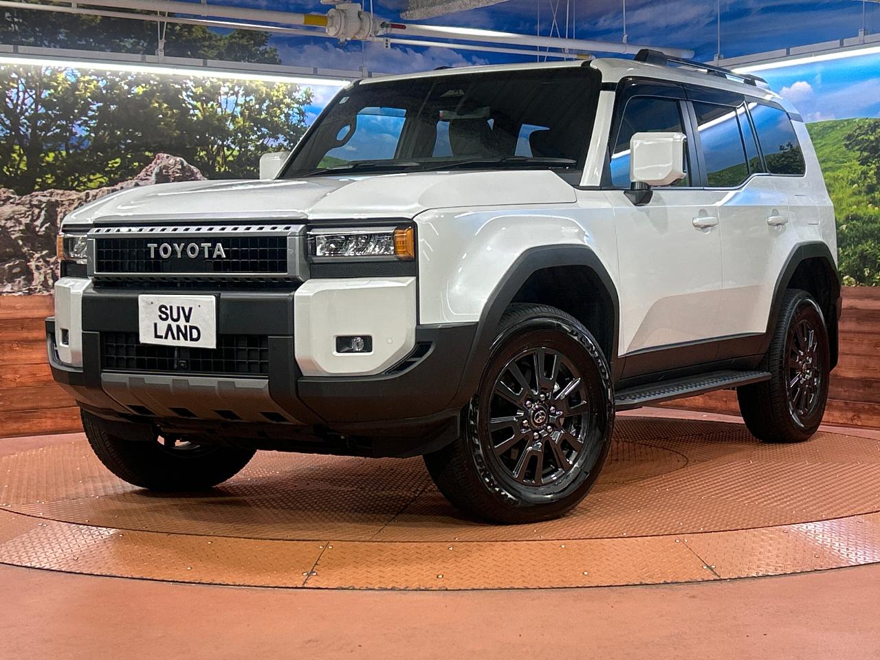 2025 Toyota LandCruiser 250 VX