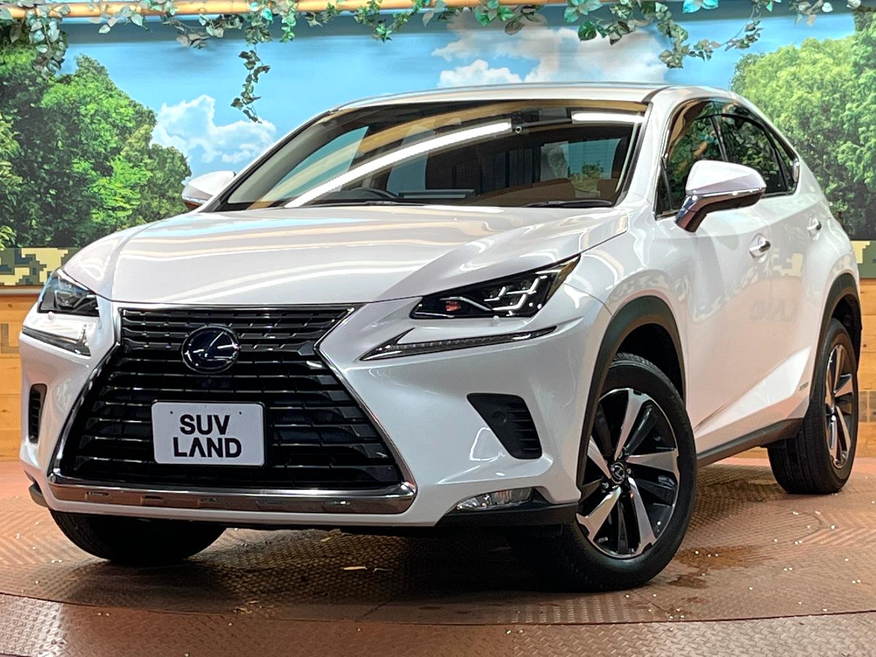2019 Lexus NX Hybrid NX300h I Package